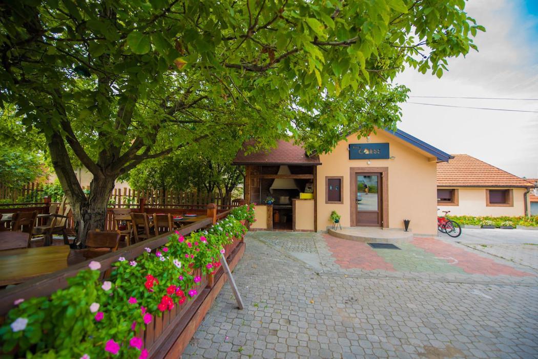 Vila Chess Belgrad Exterior foto